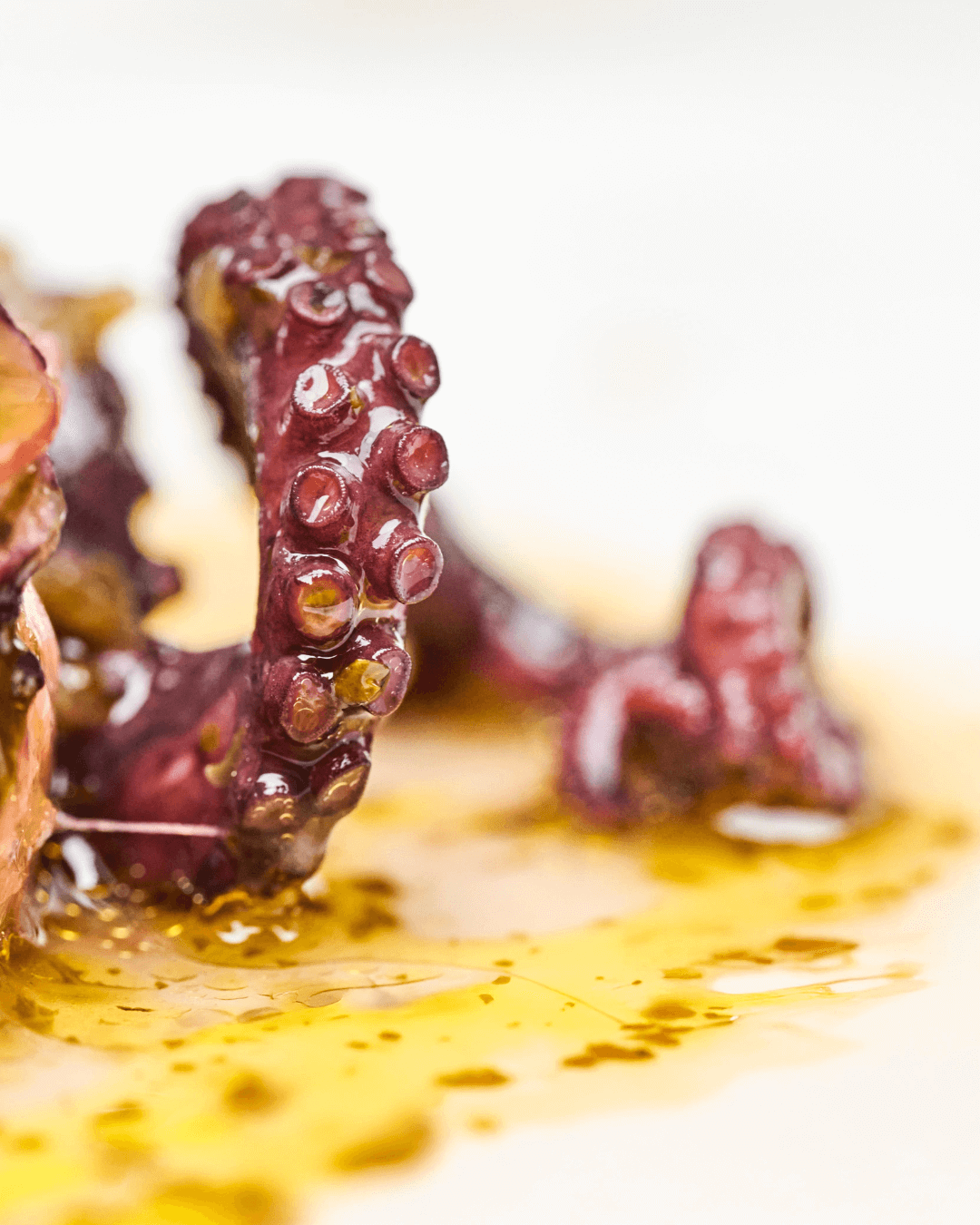 Oktopus in Chimichurri und Olivenöl, 140g