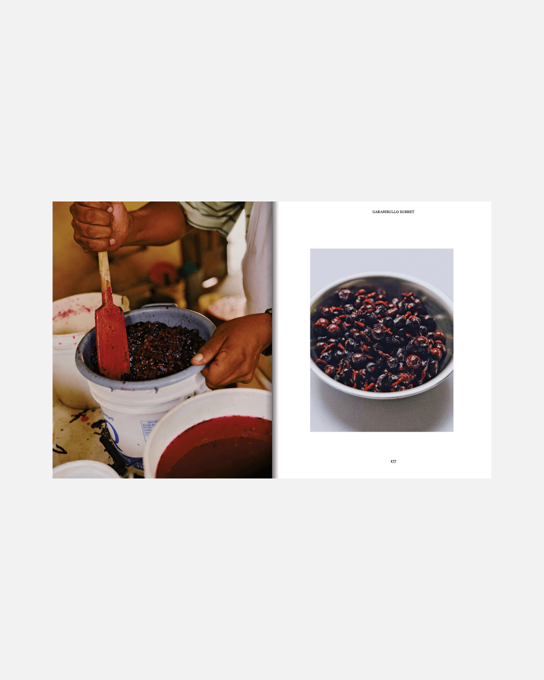 El Bajío: Recipes & Wanderings Through Mexico (Englische Ausgabe)