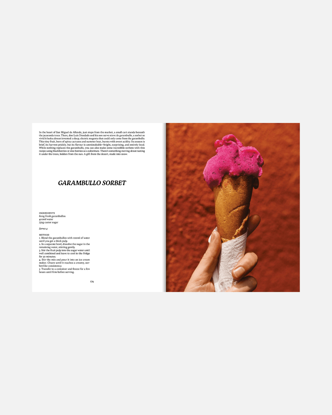 El Bajío: Recipes & Wanderings Through Mexico (Englische Ausgabe)