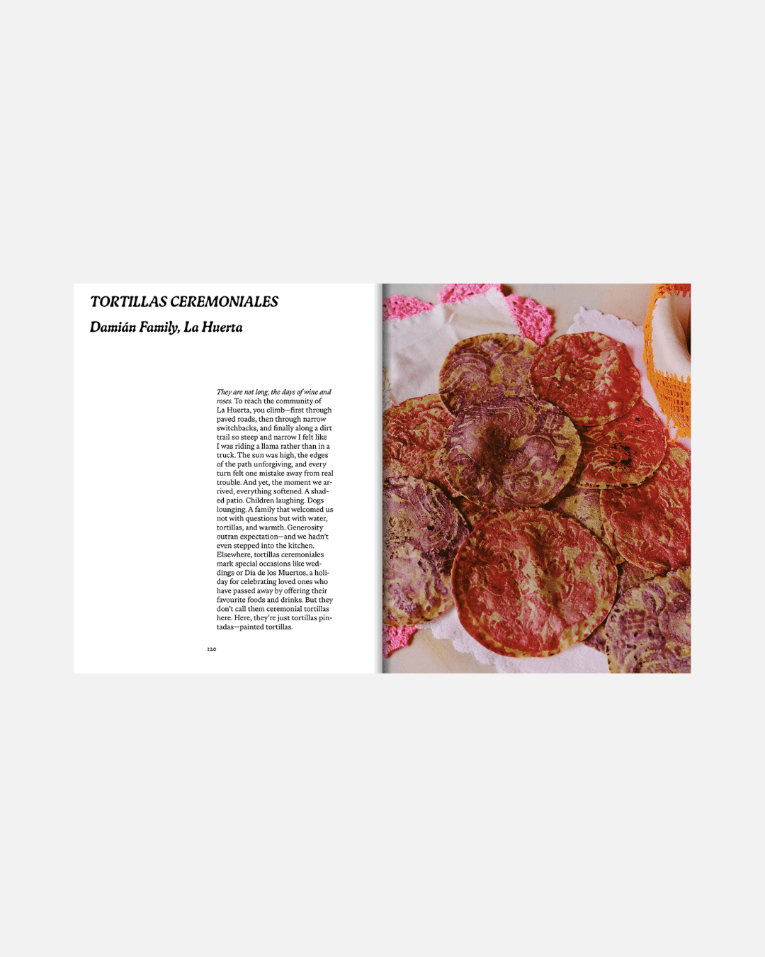 El Bajío: Recipes & Wanderings Through Mexico (Englische Ausgabe)