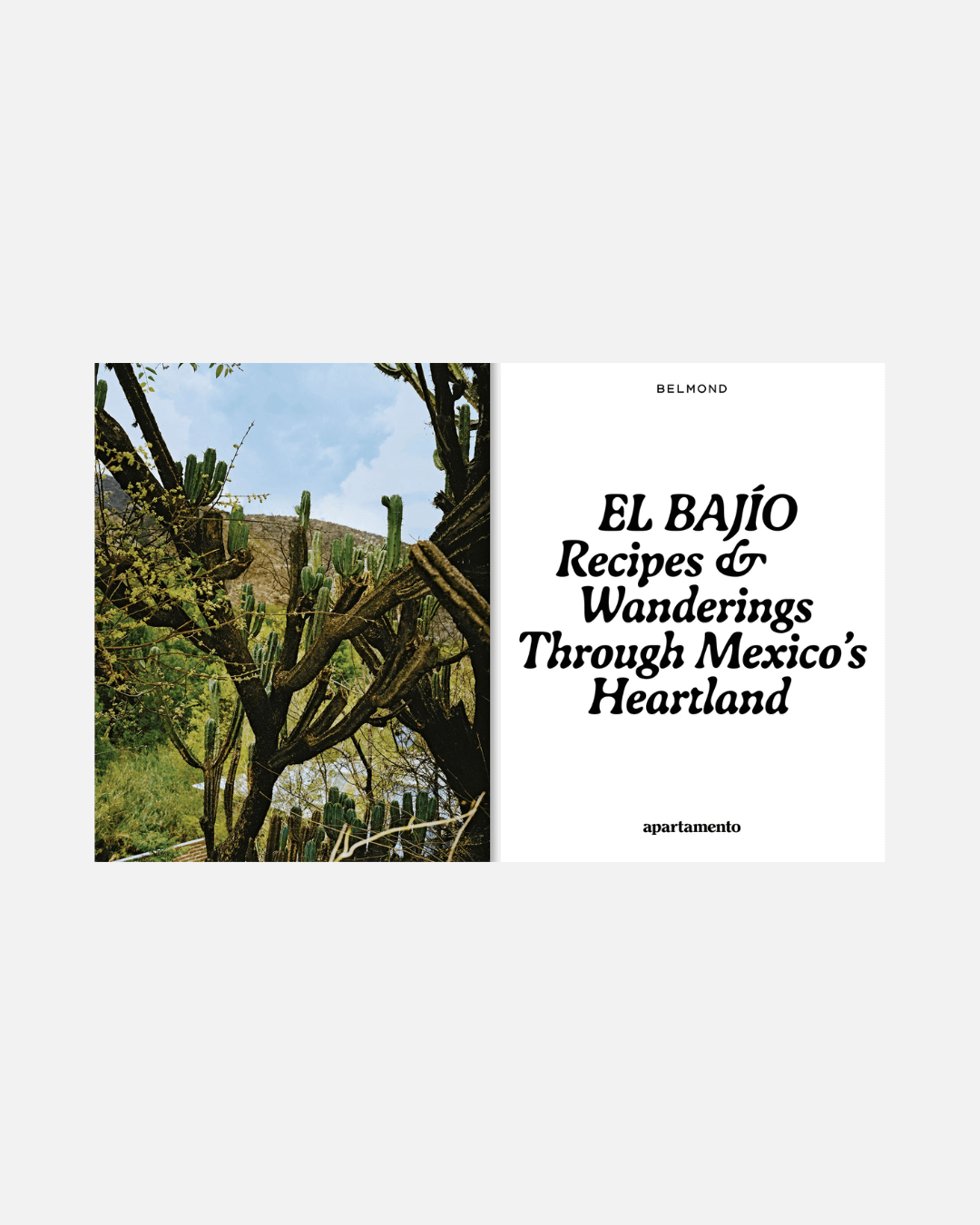 El Bajío: Recipes & Wanderings Through Mexico (Englische Ausgabe)
