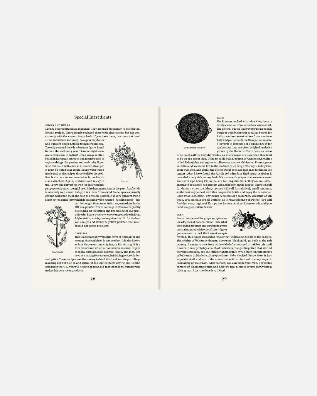Roman Recipes for Modern Cooks (English Edition)
