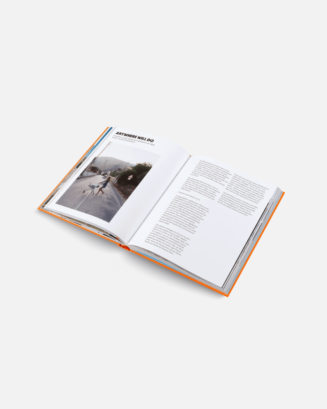 Herrlich Hosting (Deutsche Ausgabe)