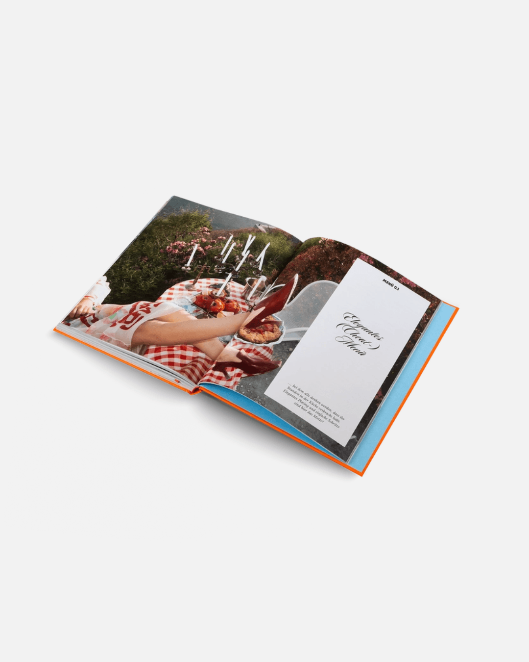 Herrlich Hosting (Deutsche Ausgabe)