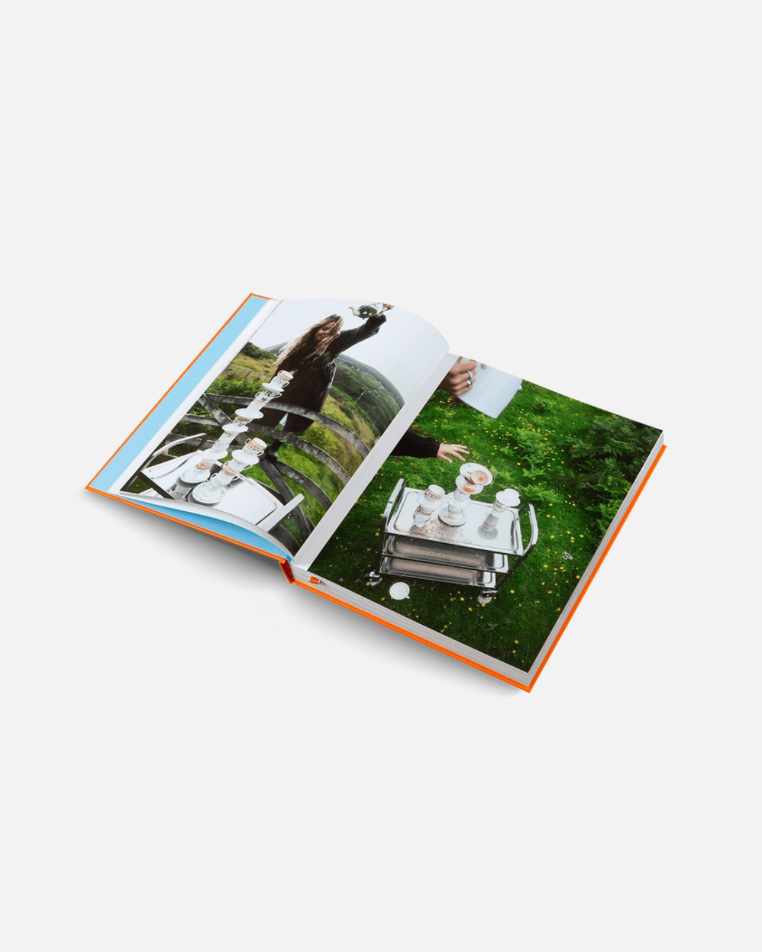 Herrlich Hosting (Deutsche Ausgabe)