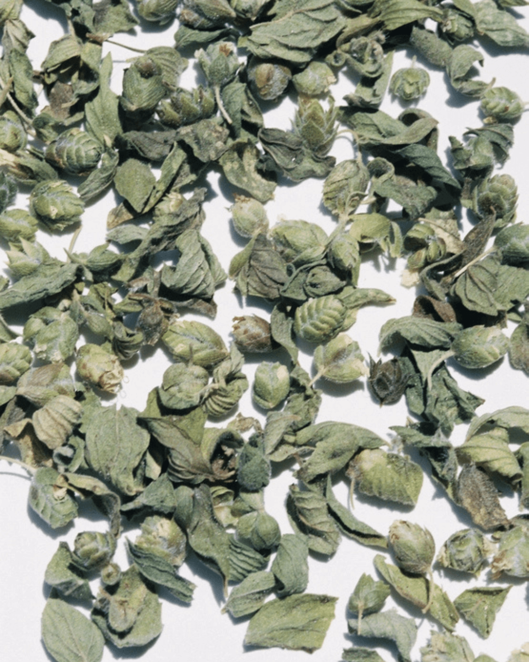 Oregano von den Ägäischen Inseln, 9g