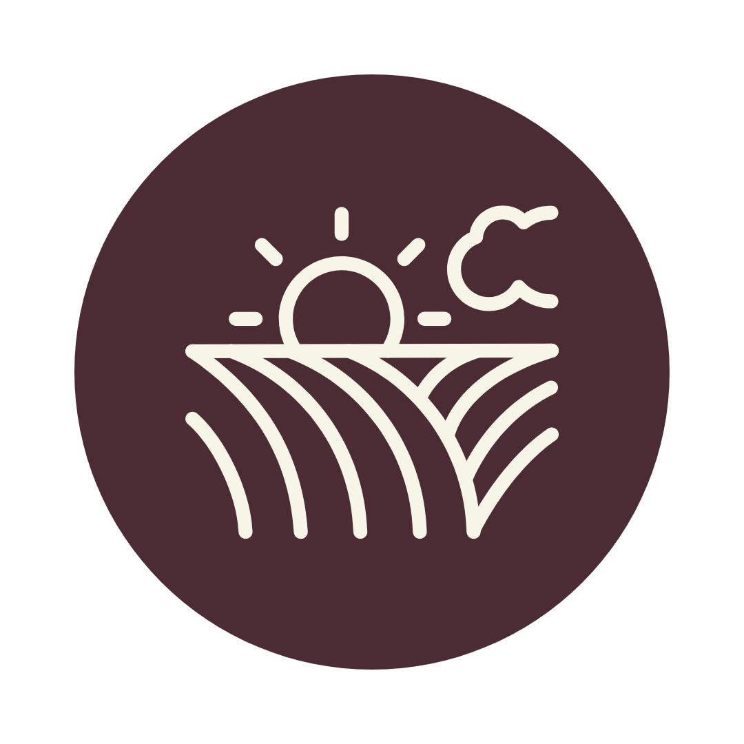 Schwarzes Icon mit Sonnenaufgang über Feldern, symbolisiert Saisonalität.